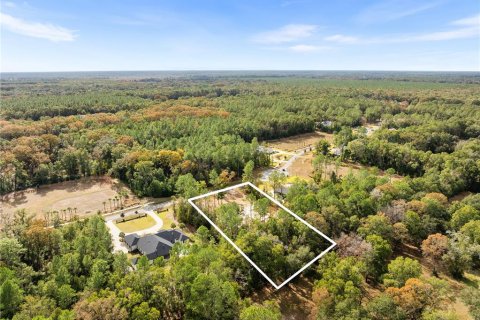 Land in Newberry, Florida № 2104225 - photo 11