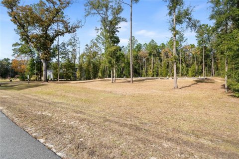 Land in Newberry, Florida № 2104225 - photo 5
