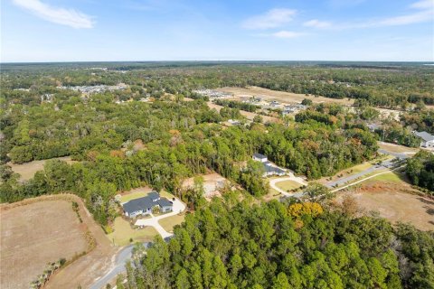 Land in Newberry, Florida № 2104225 - photo 9