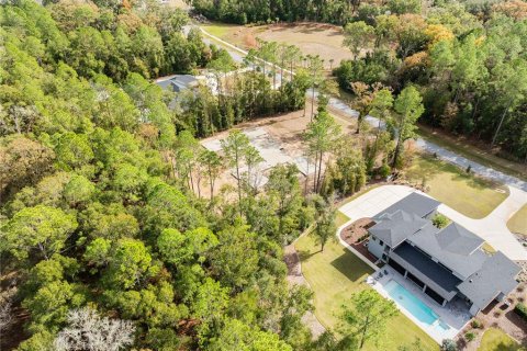 Land in Newberry, Florida № 2104225 - photo 7
