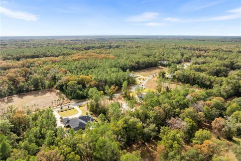 Land in Newberry, Florida № 2104225 - photo 12