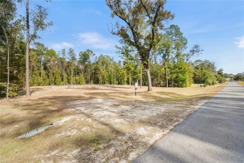 Land in Newberry, Florida № 2104225 - photo 16