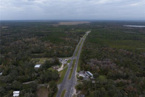 Land in Micanopy, Florida № 907120 - photo 8