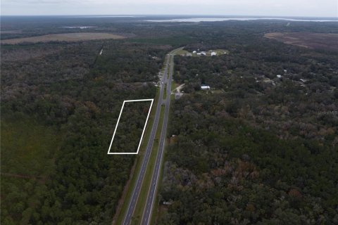 Land in Micanopy, Florida № 907120 - photo 7