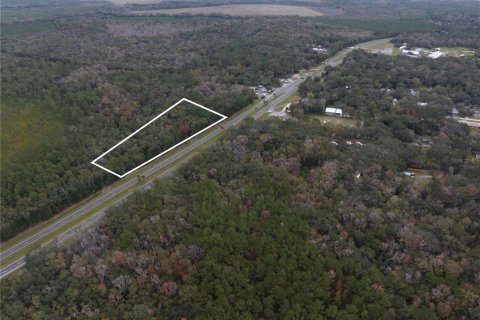 Land in Micanopy, Florida № 907120 - photo 5
