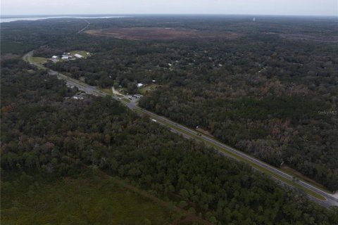 Land in Micanopy, Florida № 907120 - photo 10