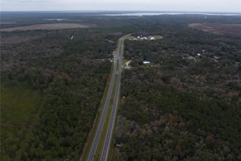 Land in Micanopy, Florida № 907120 - photo 9
