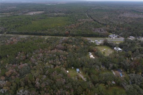 Land in Micanopy, Florida № 907120 - photo 4