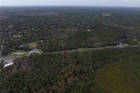 Land in Micanopy, Florida № 907120 - photo 11