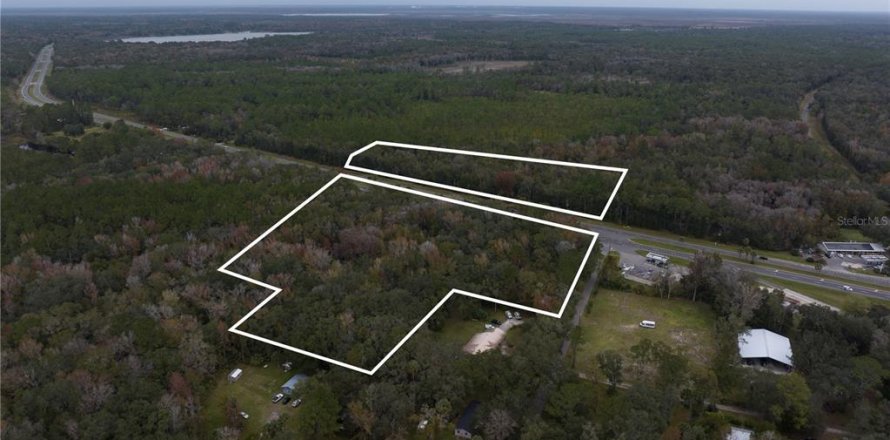 Land in Micanopy, Florida № 907120
