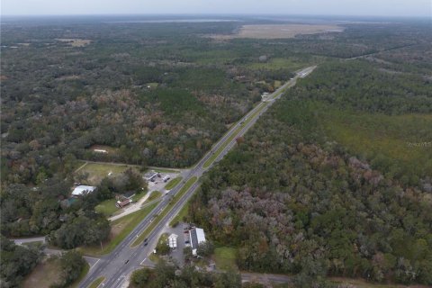 Land in Micanopy, Florida № 907120 - photo 12