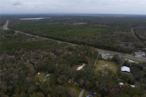Land in Micanopy, Florida № 907120 - photo 2