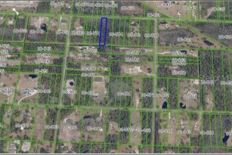 Terreno en venta en Orlando, Florida № 1379251 - foto 3