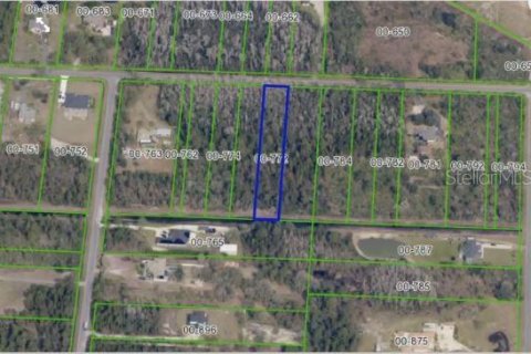 Terreno en venta en Orlando, Florida № 1379251 - foto 2