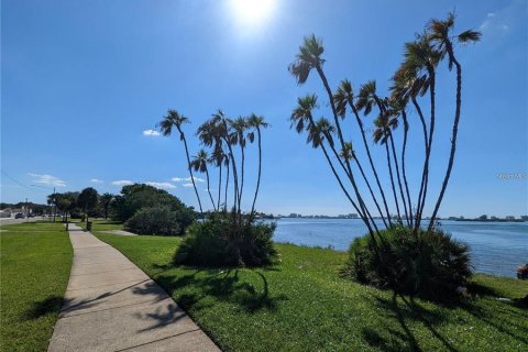 Commercial property in Clearwater, Florida 148.64 sq.m. № 2094959 - photo 21