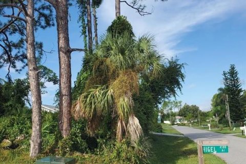 Land in North Port, Florida № 1561264 - photo 8