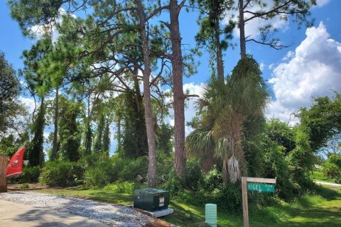Land in North Port, Florida № 1561264 - photo 5
