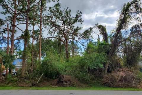 Land in North Port, Florida № 1561264 - photo 7
