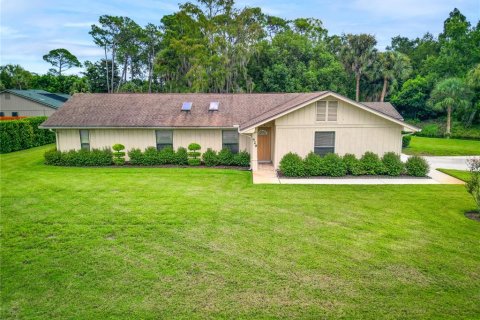 Villa ou maison à vendre à New Smyrna Beach, Floride: 3 chambres, 199.74 m2 № 2404992 - photo 3