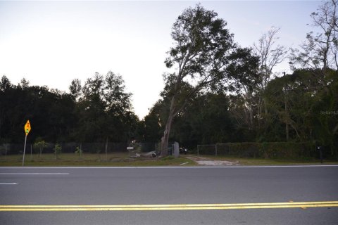 Terreno en venta en Apopka, Florida № 1570687 - foto 1