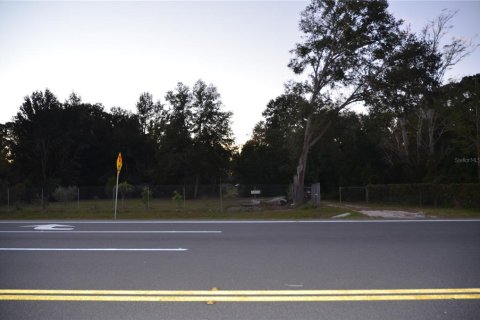 Terreno en venta en Apopka, Florida № 1570687 - foto 2