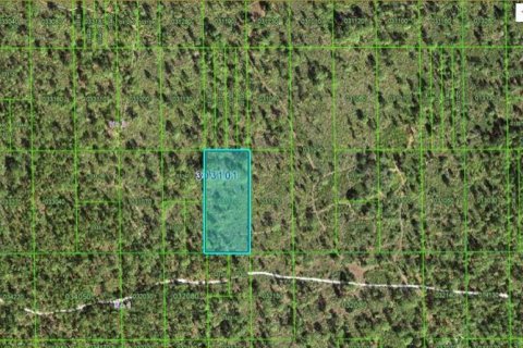 Land in Lake Wales, Florida № 2202847