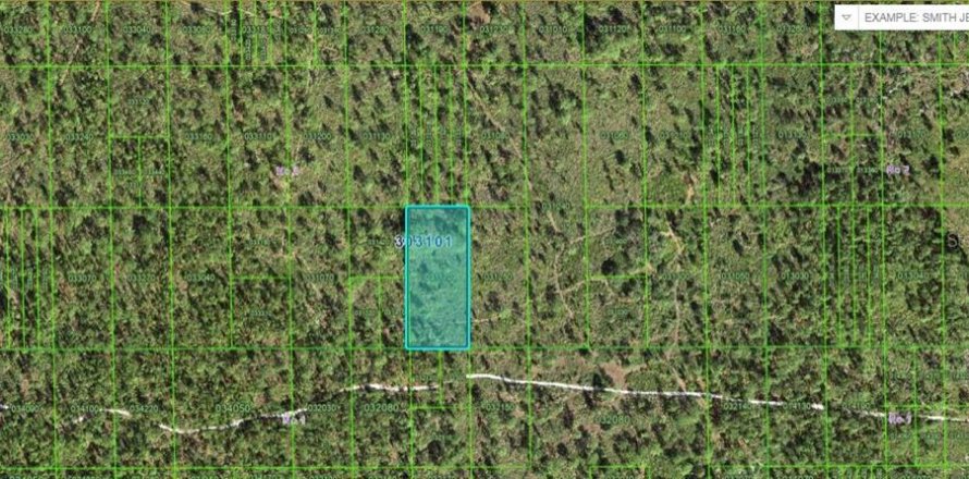 Terreno en Lake Wales, Florida № 2202847