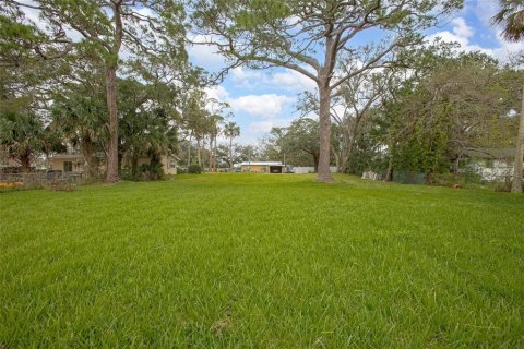 Terreno en venta en South Daytona, Florida № 1522216 - foto 2