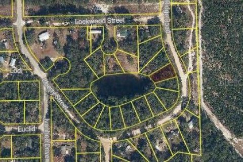 Land in Satsuma, Florida № 2162680 - photo 2