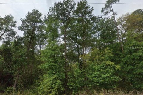 Land in Satsuma, Florida № 2162680