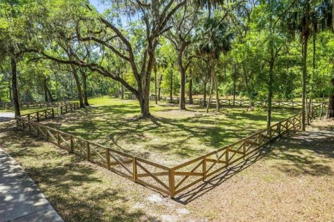 Villa ou maison à louer à Micanopy, Floride: 4 chambres, 590.86 m2 № 2404914 - photo 27