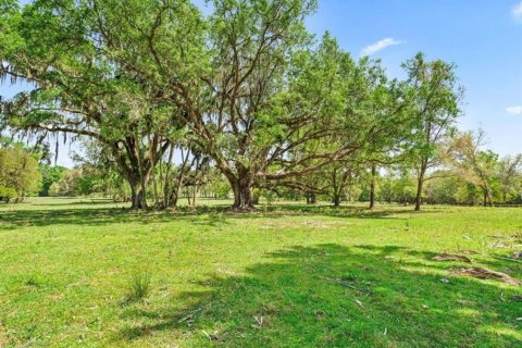 Villa ou maison à louer à Micanopy, Floride: 4 chambres, 590.86 m2 № 2404914 - photo 26