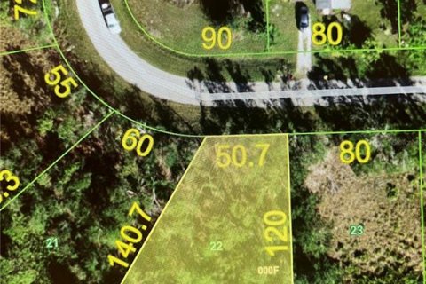 Land in Punta Gorda, Florida № 2162550 - photo 2