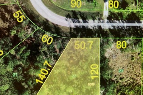 Land in Punta Gorda, Florida № 2162550