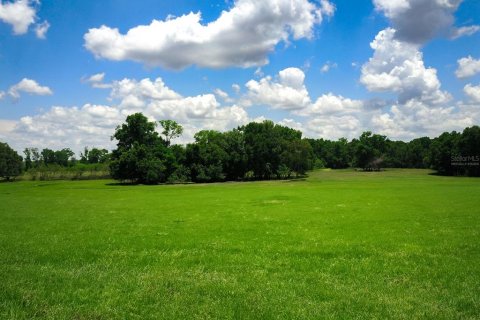 Terreno en venta en High Springs, Florida № 1246155 - foto 2