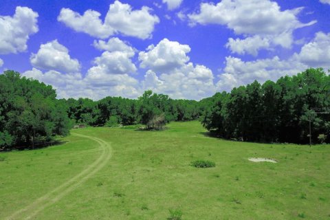 Terreno en venta en High Springs, Florida № 1246155 - foto 3