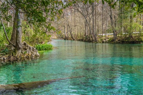 Terreno en venta en High Springs, Florida № 1246155 - foto 8