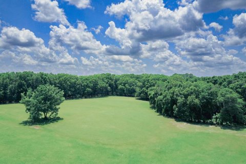 Terreno en venta en High Springs, Florida № 1246155 - foto 5