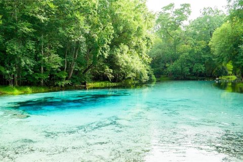 Terreno en venta en High Springs, Florida № 1246155 - foto 7