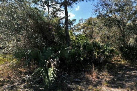 Land in North Port, Florida № 2164895 - photo 2