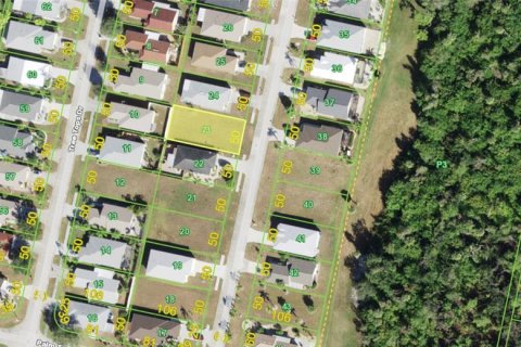 Land in Port Charlotte, Florida № 2388223 - photo 2