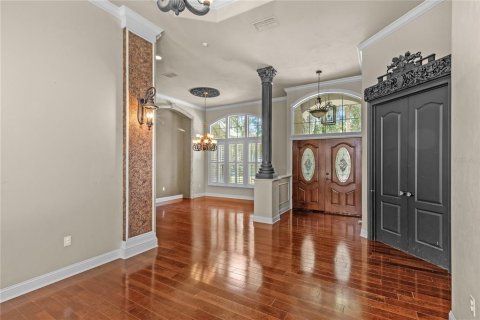 Casa en alquiler en Gainesville, Florida, 4 dormitorios, 373.1 m2 № 1833421 - foto 5