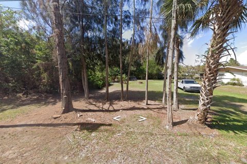 Land in Punta Gorda, Florida № 1538248 - photo 1