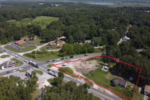 Land in Okahumpka, Florida № 1851281 - photo 5