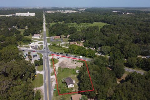 Land in Okahumpka, Florida № 1851281 - photo 3