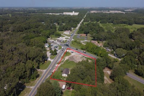 Land in Okahumpka, Florida № 1851281 - photo 6