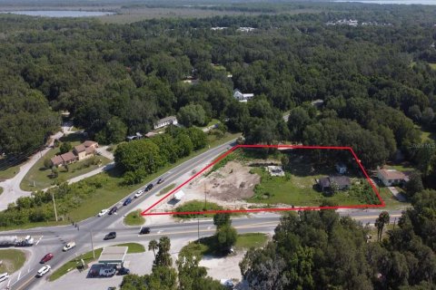 Land in Okahumpka, Florida № 1851281 - photo 12