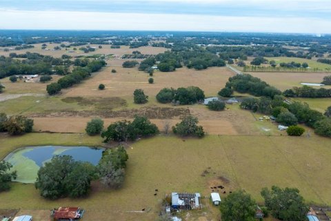 Villa ou maison à vendre à Webster, Floride: 3 chambres, 131.18 m2 № 1716841 - photo 19