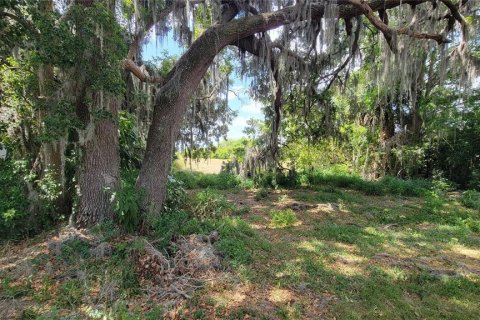 Terrain à vendre à Kissimmee, Floride № 1658078 - photo 8