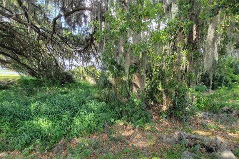 Land in Kissimmee, Florida № 1658078 - photo 7